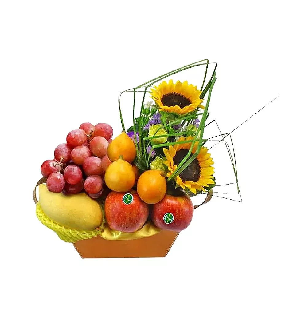6 Fruits Leather Look
