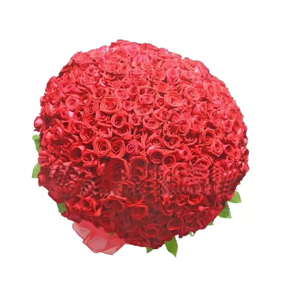 roses in a massive arrangement